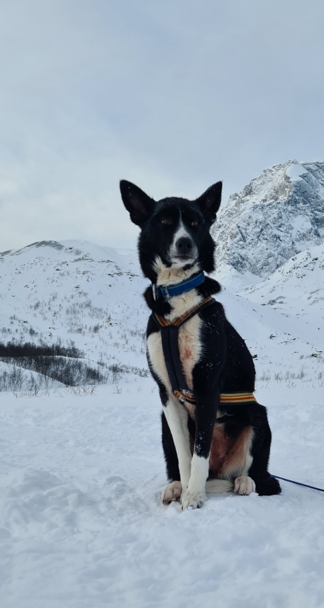 Screenshot_20240920-150700_Gallery