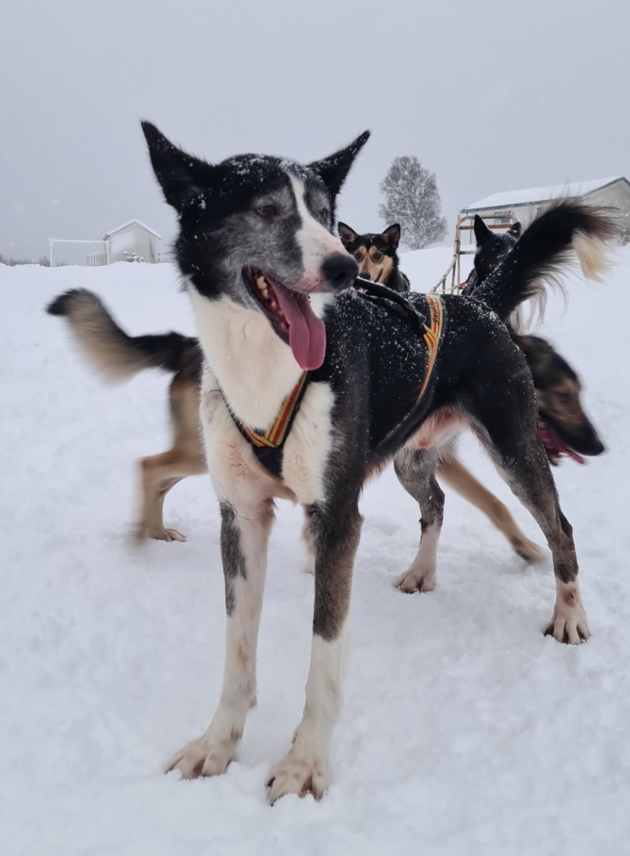 Screenshot_20240920-150829_Gallery